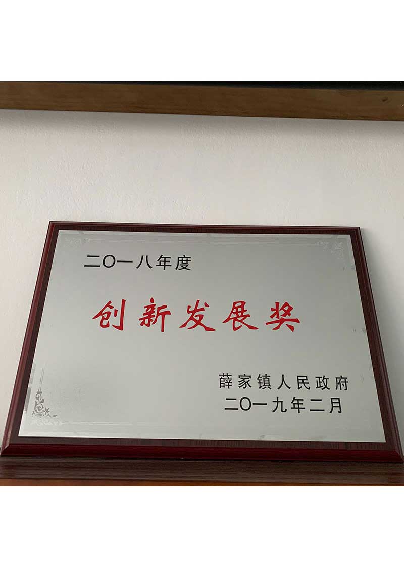 企业创新发展奖